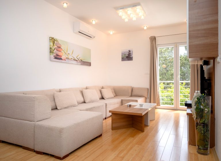 Living room - Picture 1