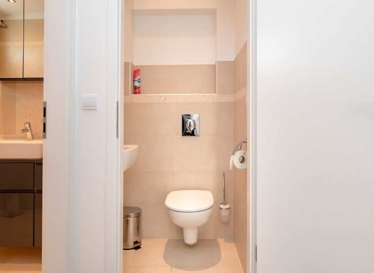 Toilet - Picture 1